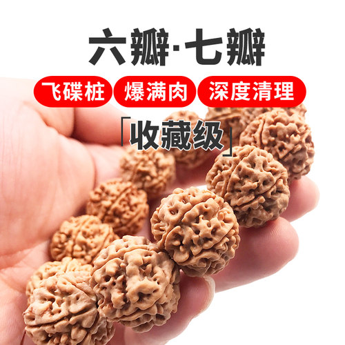 正宗七瓣爆满肉男女大金刚菩提子
