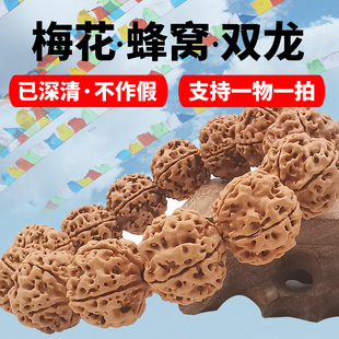 尼泊尔4四5五瓣爆肉矮桩蜂窝梅花双龙纹大金刚菩提子手串男女手链