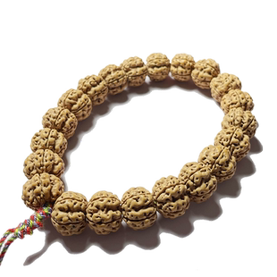 帝王花 梅花双龙爆满肉双龙纹小金刚菩提单圈手串 大规格手持男女
