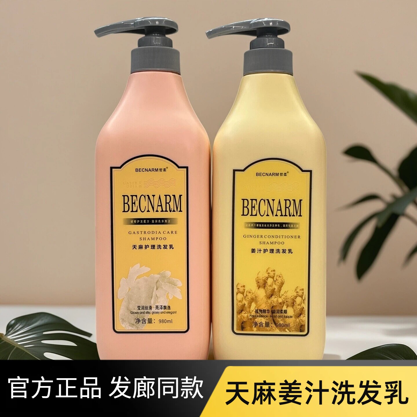 正品哲柔天麻护理洗发乳滋润柔顺健发养发生姜姜汁精华老姜洗发水