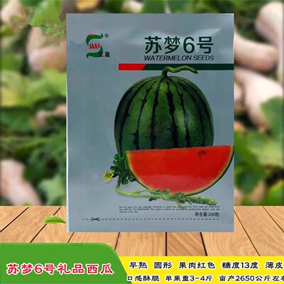 苏梦6号小糖丸西瓜种子早熟迷你小果型薄皮西瓜高产高糖酥脆圆形