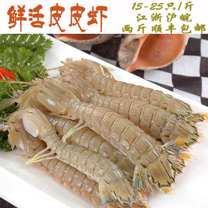 鲜活皮皮虾500克膏多 鲜活虾姑 琵琶虾皮皮虾鲜活免邮闪送包活