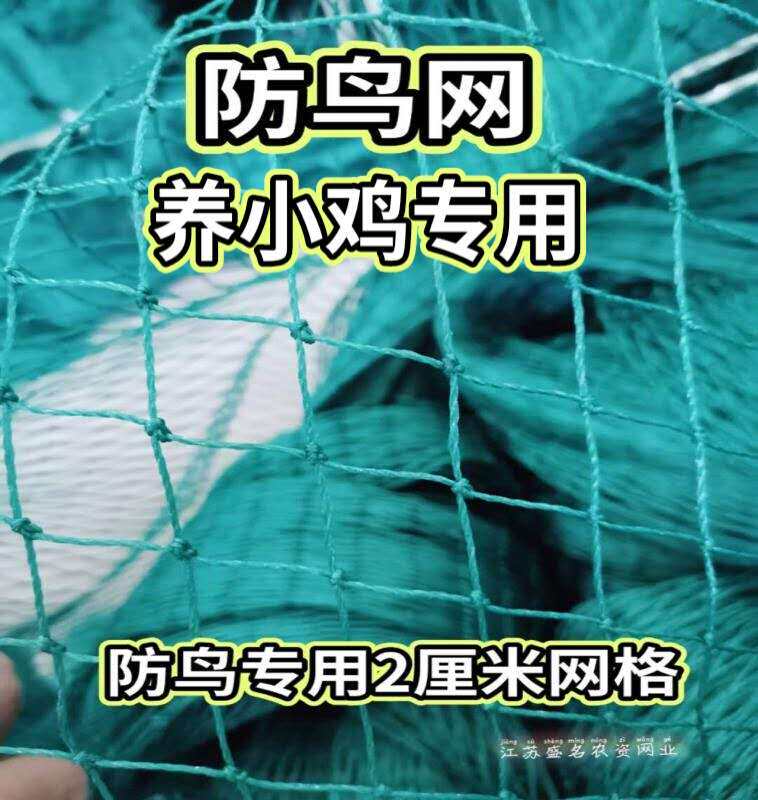 家禽山鸡网菜园天网爬藤网