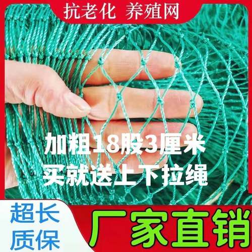 家禽养鸡网拦鸡网菜园菜园网