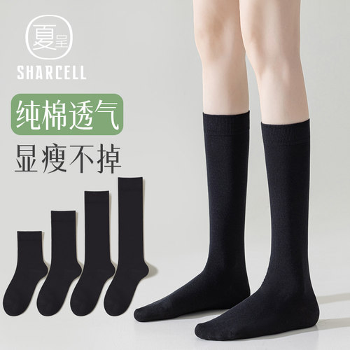 经典黑白小腿袜纯棉显瘦不勒