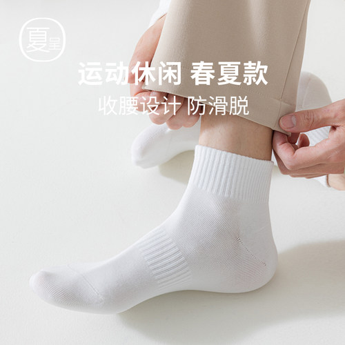 经典束腰款男士短袜纯棉无骨