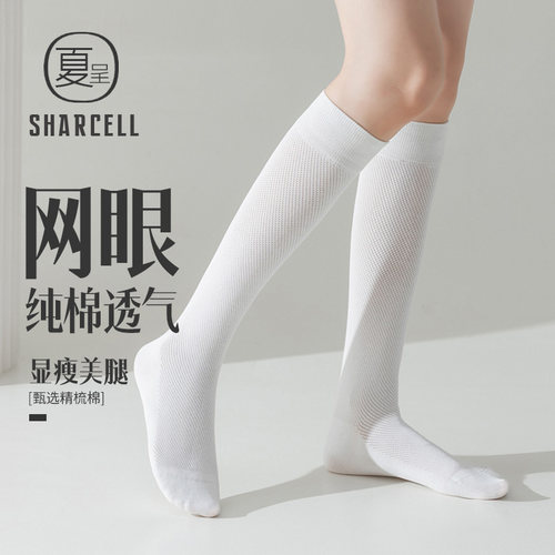 网眼透气夏季薄款女士小腿袜