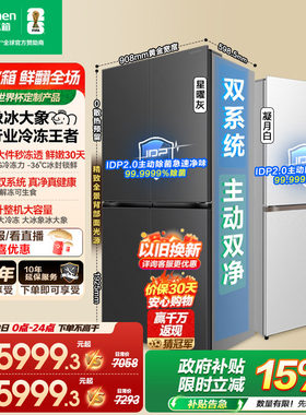 容声大冰象603冰箱行业冷冻王者