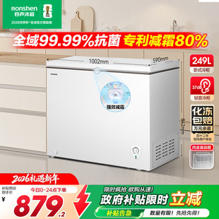 容声249升大容量家用单温冰柜全冷冻减霜商用冷藏冷冻一级能效