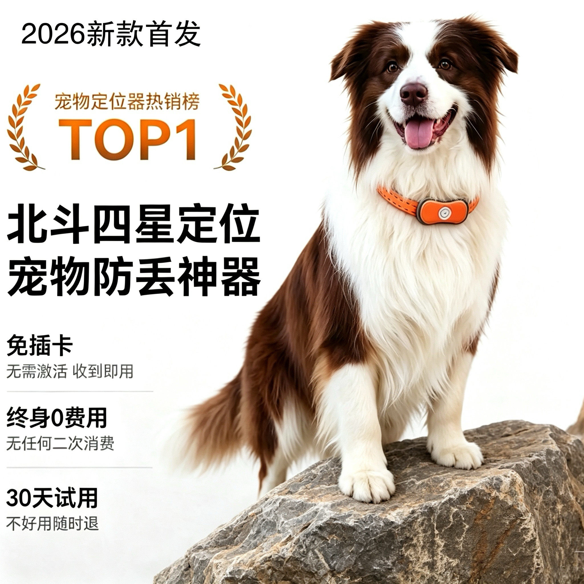 宠物定位器防丢失神器防水运动狗狗猫咪gps项圈精准定位器