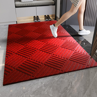 入户门地垫2025新款耐脏防滑脚垫大门口外地垫轻奢高级感入户地毯