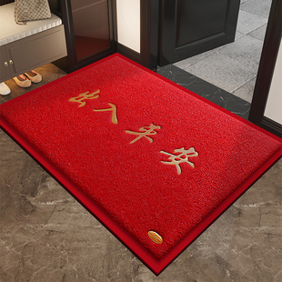 丝圈入户门地垫2025新款出入平安大门口进门脚垫室外门外防滑门垫