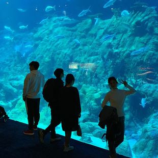 新创意海洋生态缸来图订做定做亚克力鱼缸弧形圆柱水族箱专业海品