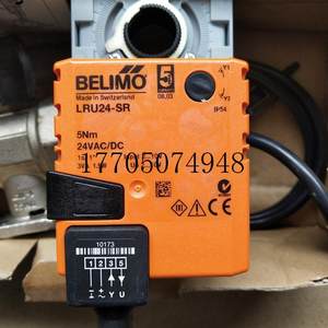 议价BELIMO搏力谋螺纹不锈钢二通电动球阀 R229+LRU24-SR现货议价
