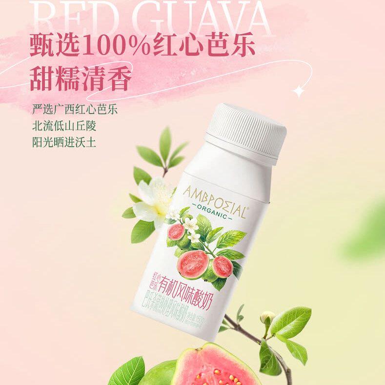 山姆100%广西红心芭乐有机风味酸奶限定内蒙古有机认证奶源高蛋白