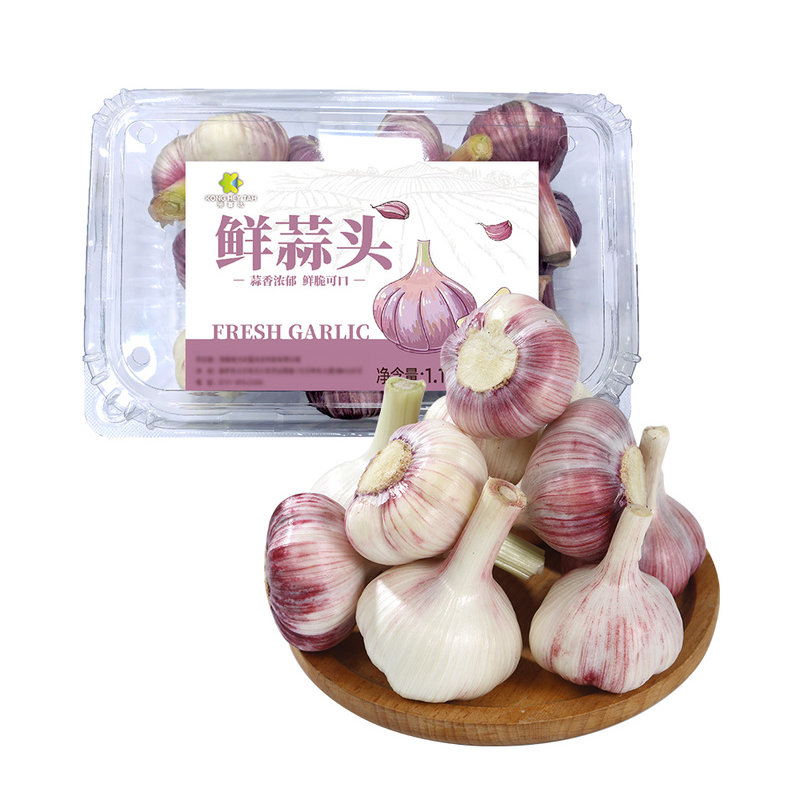 山姆超市鲜蒜头皮紫红1.1kg可生食可腌鲜嫩脆辣可烤新鲜采摘蔬菜