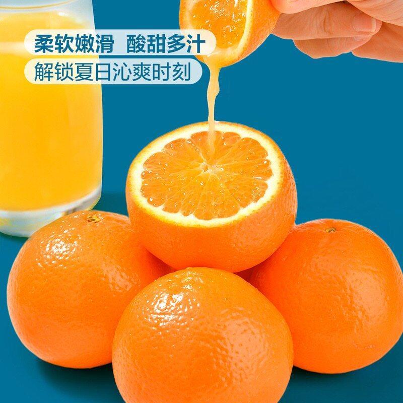 山姆澳大利亚进口Dandy Mandy橘子皮薄易剥酸甜爆汁新鲜水果橙子