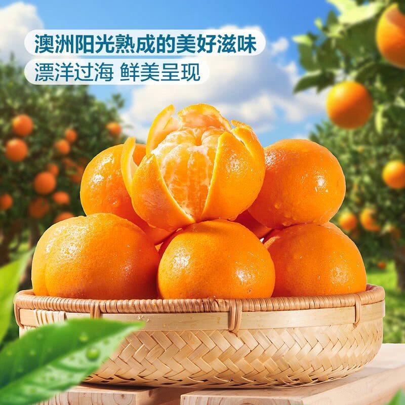 山姆澳大利亚进口Dandy Mandy橘子皮薄易剥酸甜爆汁新鲜水果橙子