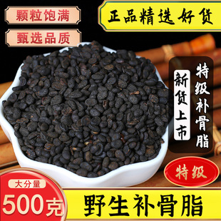 高品质补骨脂中药材500g克新货野生补骨脂粉破故纸 补骨脂 黑故子