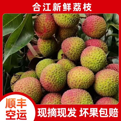 【顺丰】正宗合江荔枝新鲜