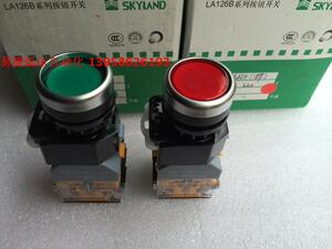。SKYLAND天洲 LA38-11DT/203 LA38-20DT 带灯带锁按钮 银点铜件