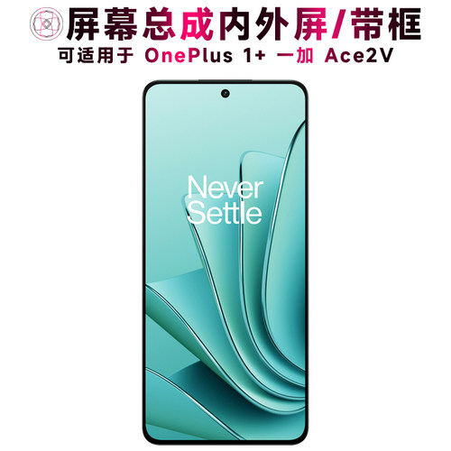 点盾令屏幕总成适用于一加ace2v