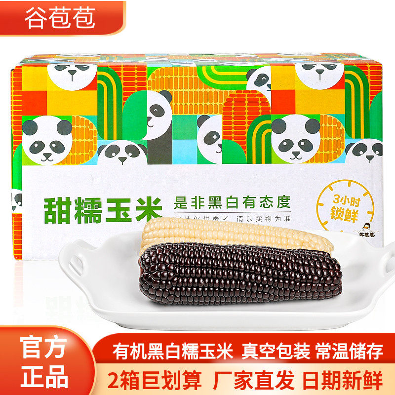 谷苞苞有机糯玉米山西忻州