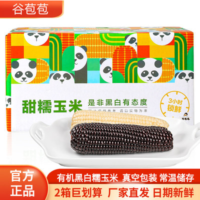 谷苞苞有机糯玉米山西忻州