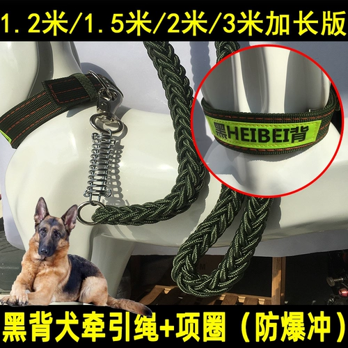 Магазин возвращается, чтобы пройти тысячи шестилетнего магазина черного магазина, специализируясь по борьбе с набором для совместной работы в середине взрыва собаки -защищены от собаки -Preshation и Delfeue Shepherd