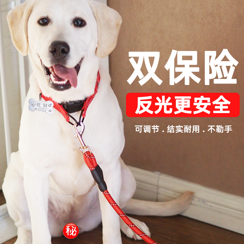 狗狗项圈牵引绳中遛狗宠物狗品牌