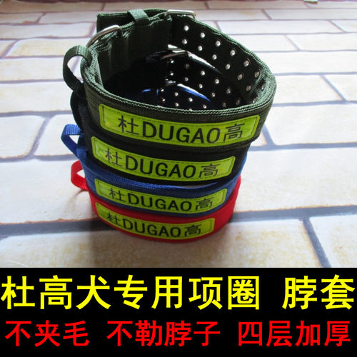 杜高犬项圈中大型犬可以调节小建