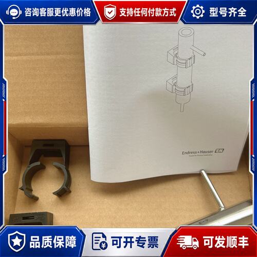 议价E+H Endress+Hauser Flowfit CYA可维修
