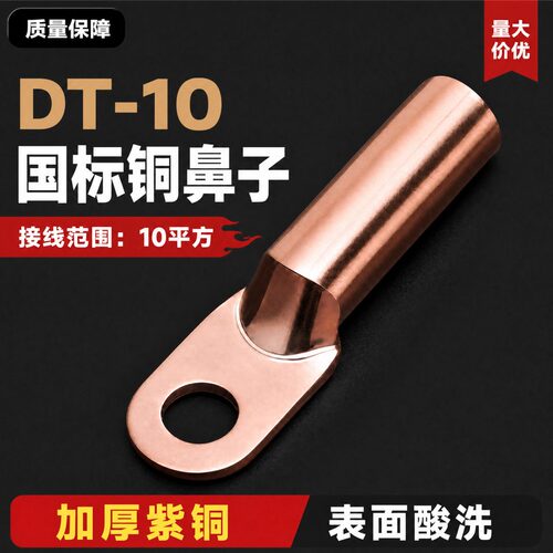 国标DT-10平方铜鼻线鼻子接线鼻接线端子铜线耳堵油铜接头A级