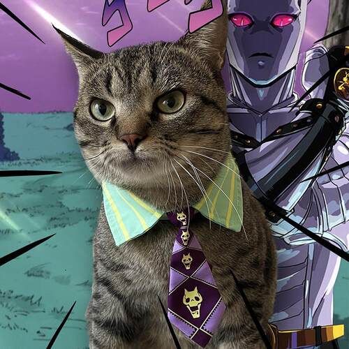 吉良吉影猫咪领带JOJO