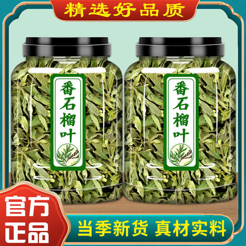 番石榴叶500g克泡官方旗舰店