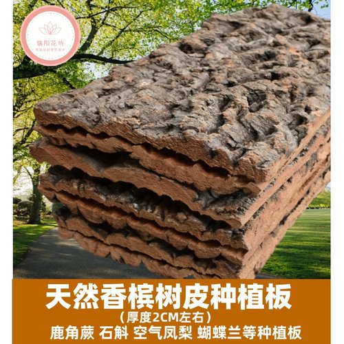 防腐不生虫树皮一手货源香槟树皮