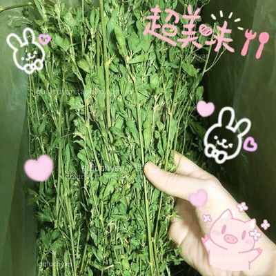 2023特级成幼兔子龙猫饲料苜蓿草