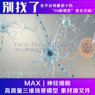 影视动画级别 神经细胞 医学模型神经原神经元突触 细胞3Dmax模型