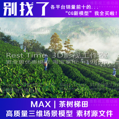 自然风景《茶园》 茶叶种植 采茶叶 山体 园林茶女山体3Dmax模型