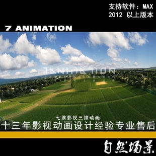 影视级别 自然场景 鸟瞰麦田 农田 田地 种地 原野田野3Dmax模型