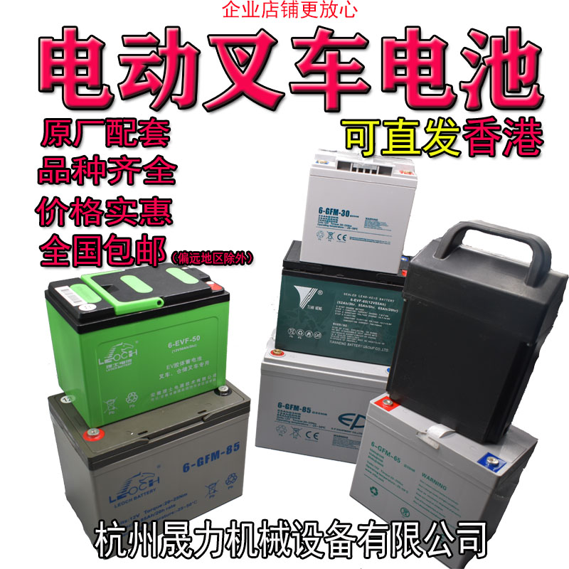 包邮特惠中力小金刚EPT20-15ET搬运堆高叉车动力电瓶电池6-EVF-65