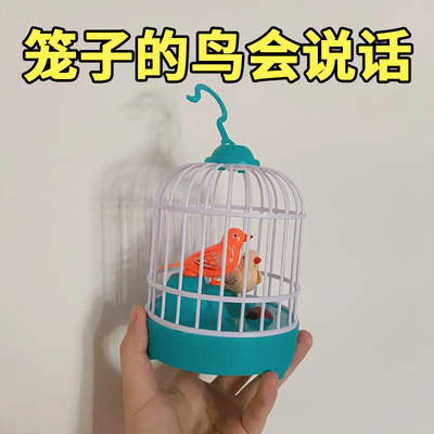 小鸟玩具笼模仿会学人