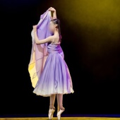 新疆第四届天山雪莲奖专业舞蹈大赛 绽放 女子独紫色舞定制舞服