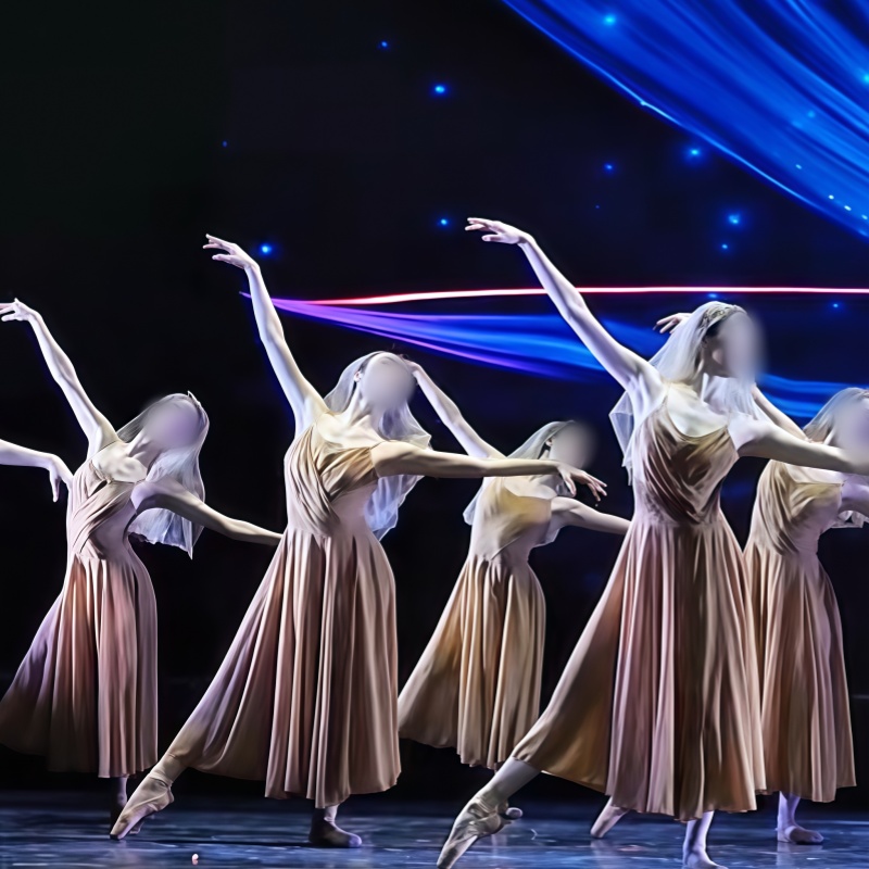 《永生花》舞蹈服中国舞