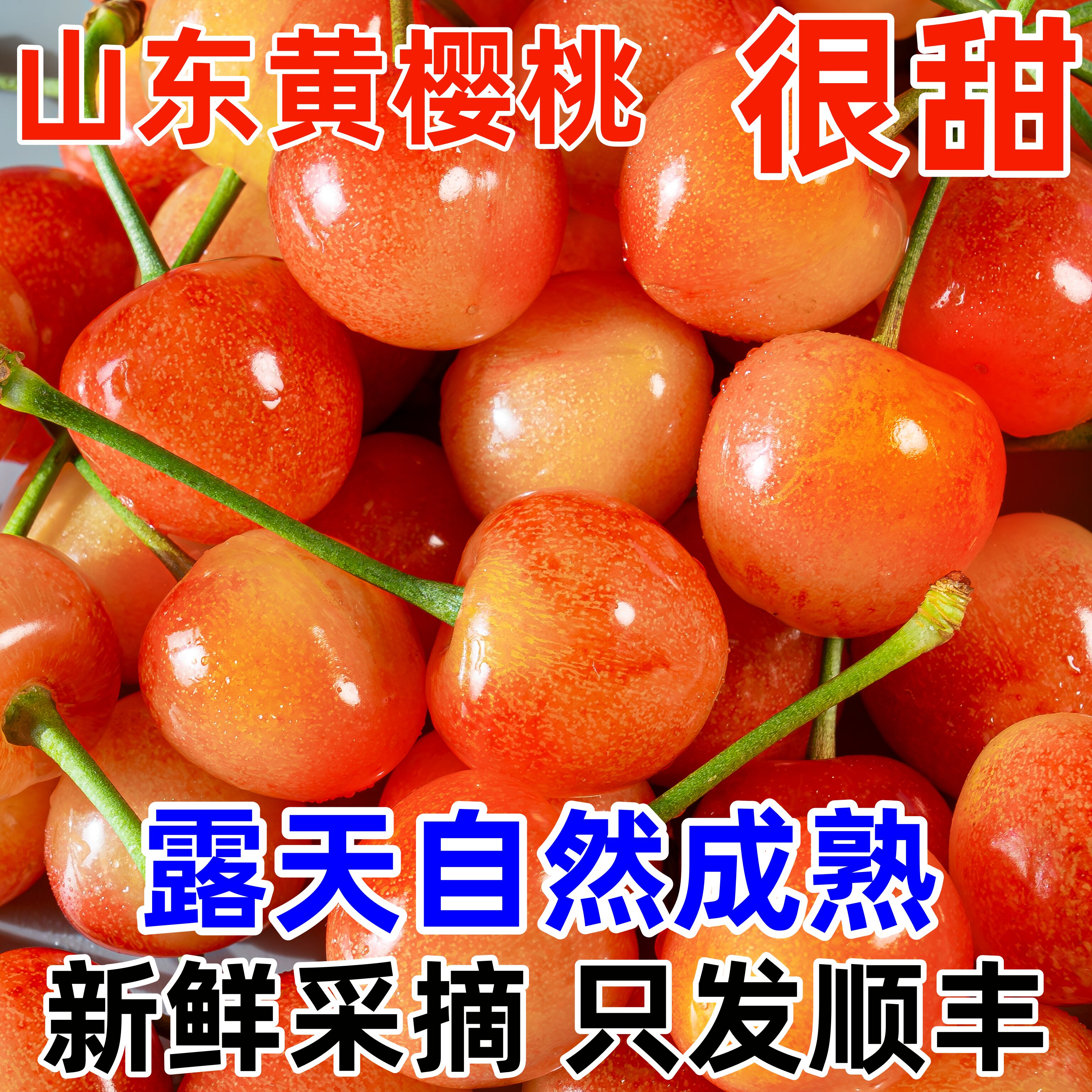 黄水晶烟台黄蜜樱桃新鲜水果空运