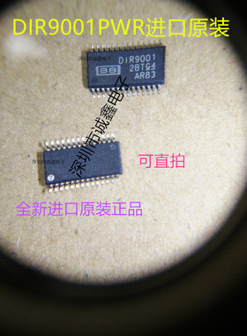 DIR9001PWR  DIR9001 TSSOP28   数字音频接收器  原装