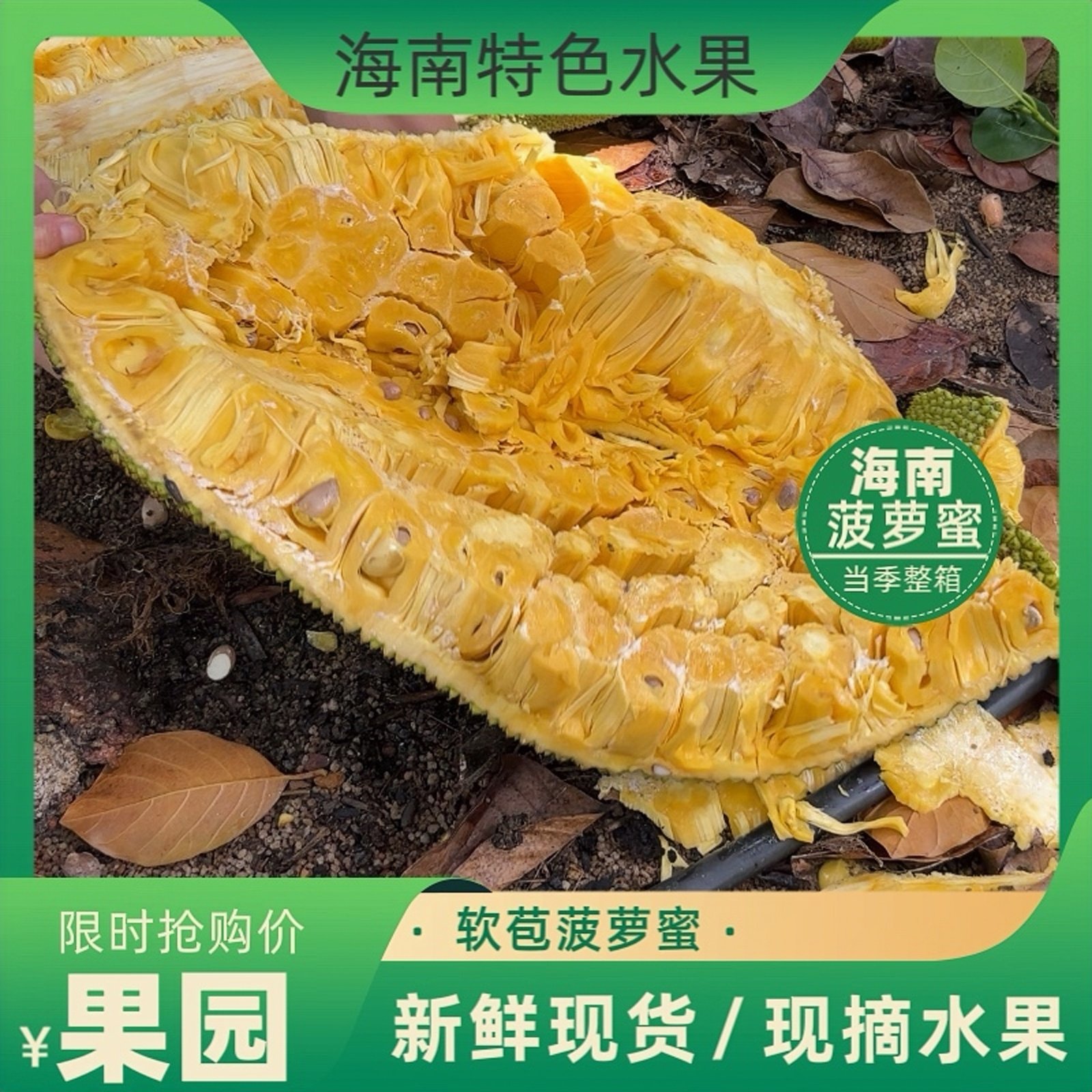 【现货新鲜】海南菠萝蜜黄肉新鲜水果15-35斤三亚软苞一整个包邮,水产肉类/新鲜蔬果/熟食,菠萝蜜,淘宝优惠券,粉丝福利购,淘宝优惠卷