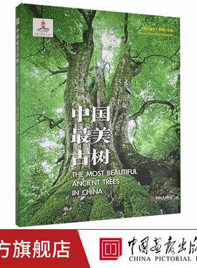 中国最美古树中国画报出版社
