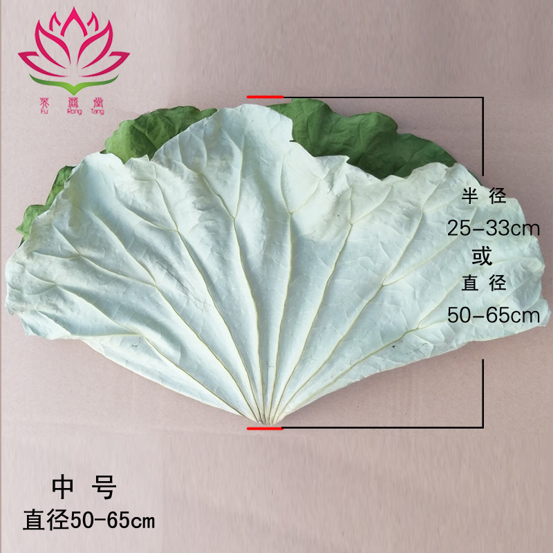 2026新鲜干荷叶纯天然整张荷叶散装野生荷叶特级冬瓜荷叶茶糯米鸡