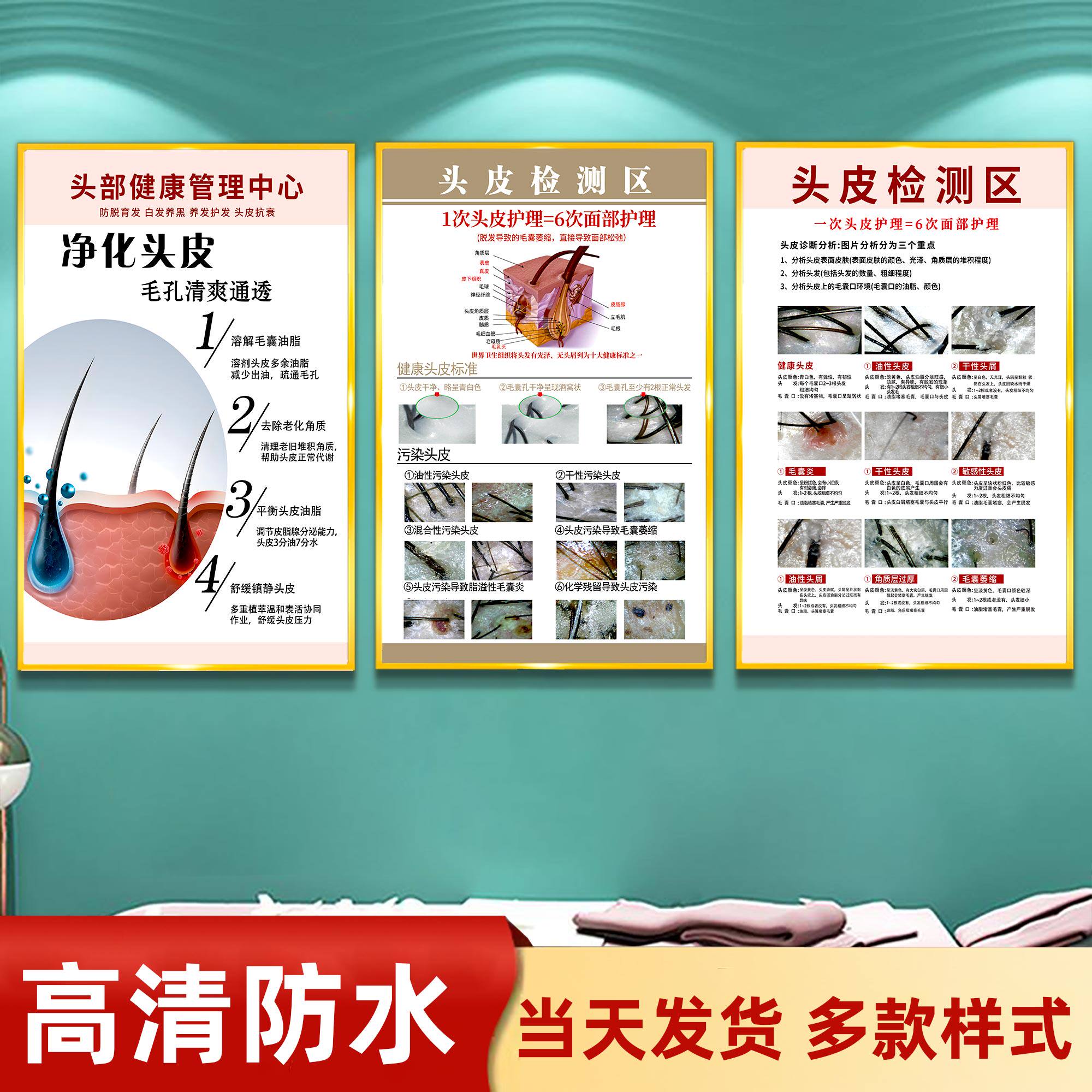 头皮检测广告贴纸头皮保养宣传海报常见问题护理养发馆头疗装饰画